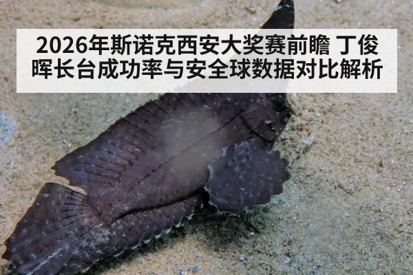 2026年斯诺克西安大奖赛前瞻 丁俊晖长台成功率与安全球数据对比解析