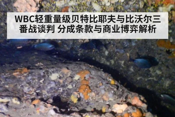 WBC轻重量级贝特比耶夫与比沃尔三番战谈判 分成条款与商业博弈解析 - jiuyou